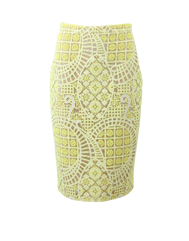 Vintage skirts for retro-inspired fashion vibes -Iona Lace Pencil Skirt