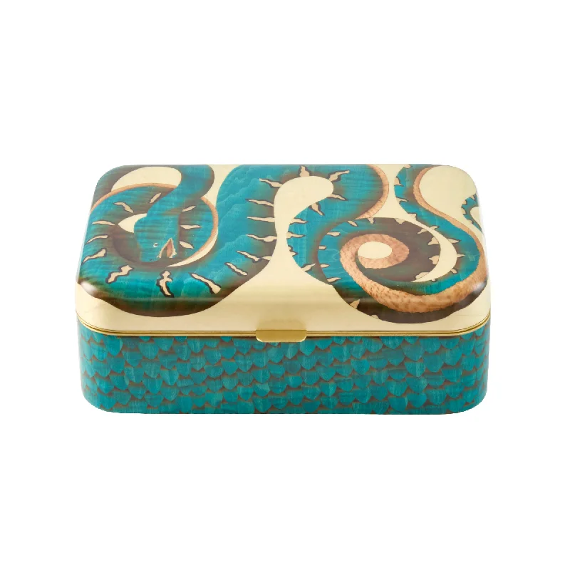 Best necklaces and pendants with layered designs for a chic, stacked look-Blue Snake Print Marquetry Box - Medium