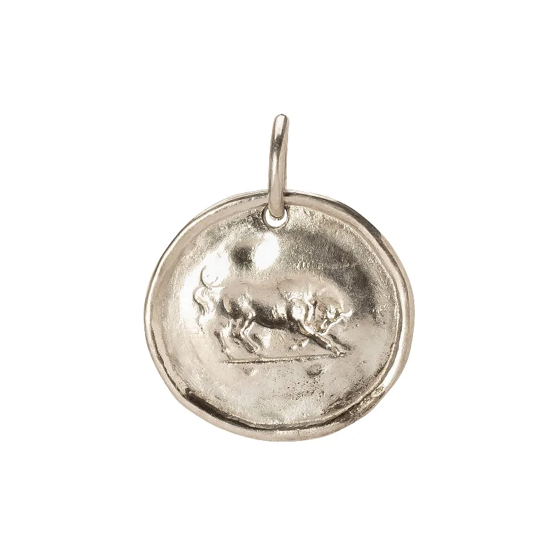 Necklaces and pendants with zodiac constellation designs for an astrological touch-Bull Coin Pendant - Silver